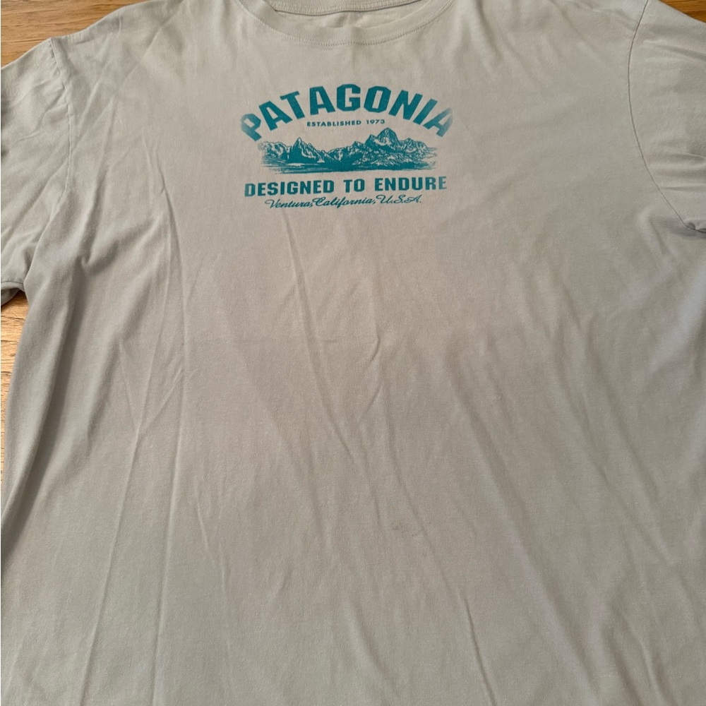 Patagonia Men's Gray Tee with Blue Graphic